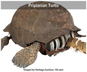 Priplanian Turtle