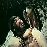 The Hawk