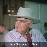 Harry Cheshire as Mr. Elster