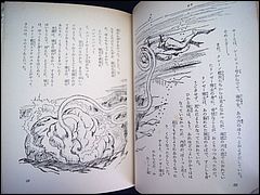 Japanese Voyage Novel