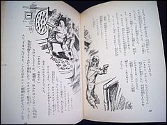 Japanese Voyage Novel