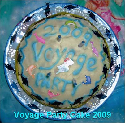Voyage Party Cake 2009